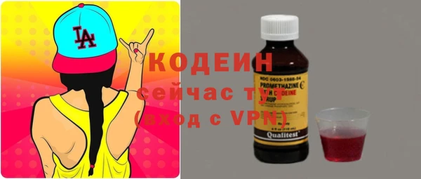 шишки Иннополис