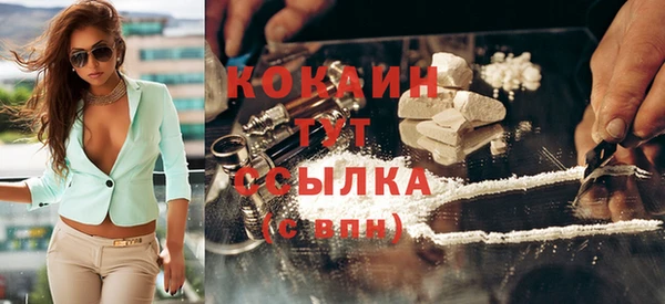 шишки Иннополис