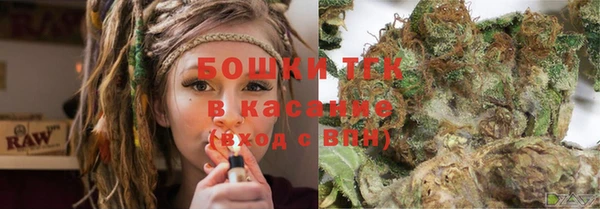 шишки Иннополис