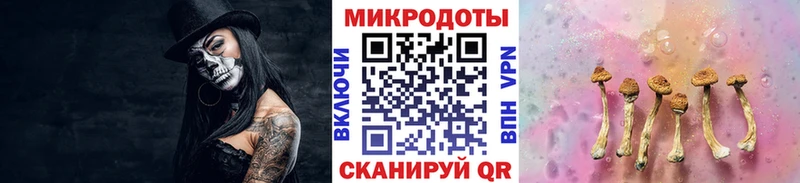 Псилоцибиновые грибы прущие грибы  Купить где  Зима 